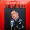 David Cañizares - Los Boleros de Julio